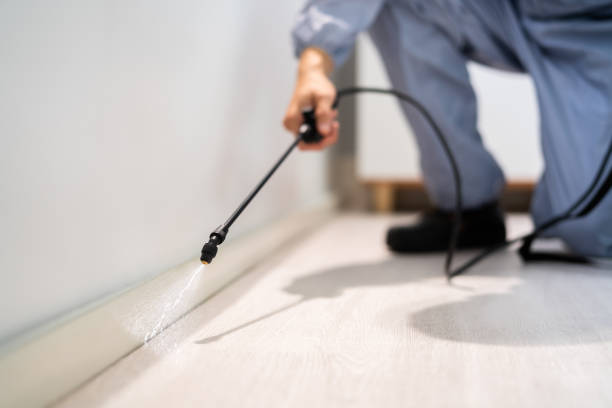 Licensed Fumigation Services service in Hampshire County County, WV - Nex Pest Control